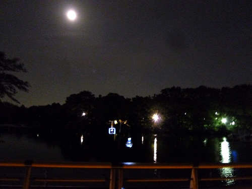 月と池