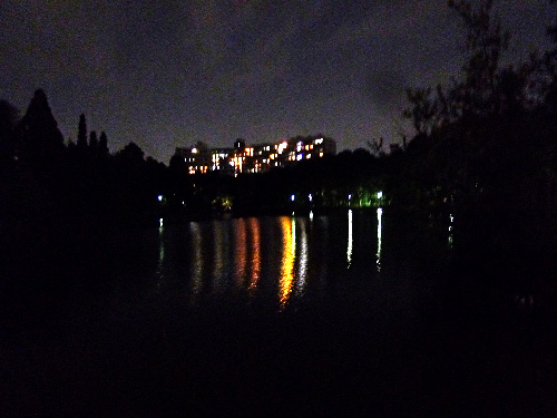 建物の光が映りこんだ池